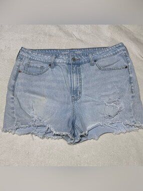 High Rise OG Straight Cutoff Jean Shorts